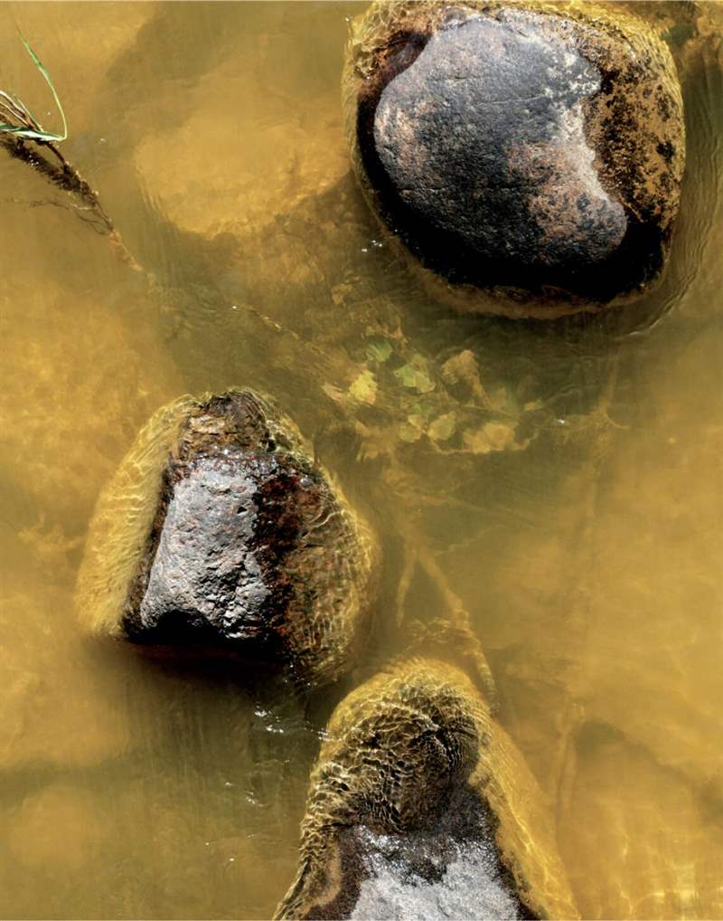 <p>2015 年發(fā)生事故后，科羅拉多州阿尼馬斯河的采礦廢料污染水域。 杰瑞·麥克布萊德攝。</p>