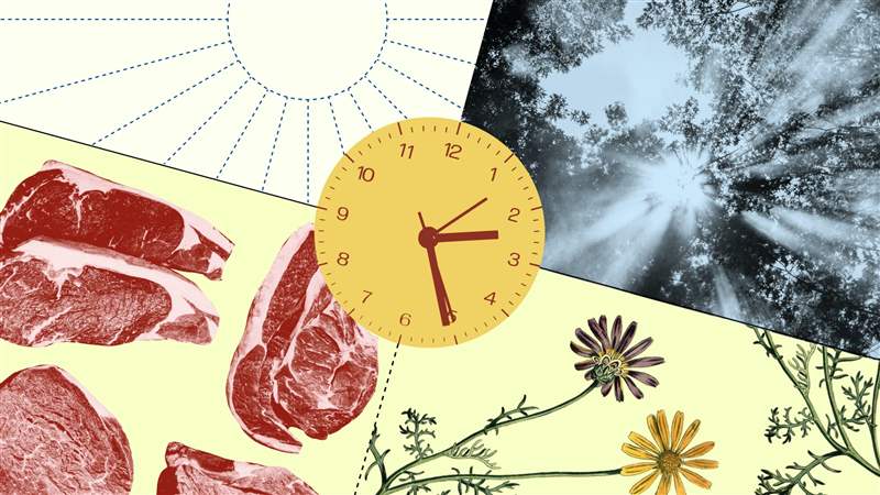 夏令時是一種快樂和祝福-復(fù)刻表